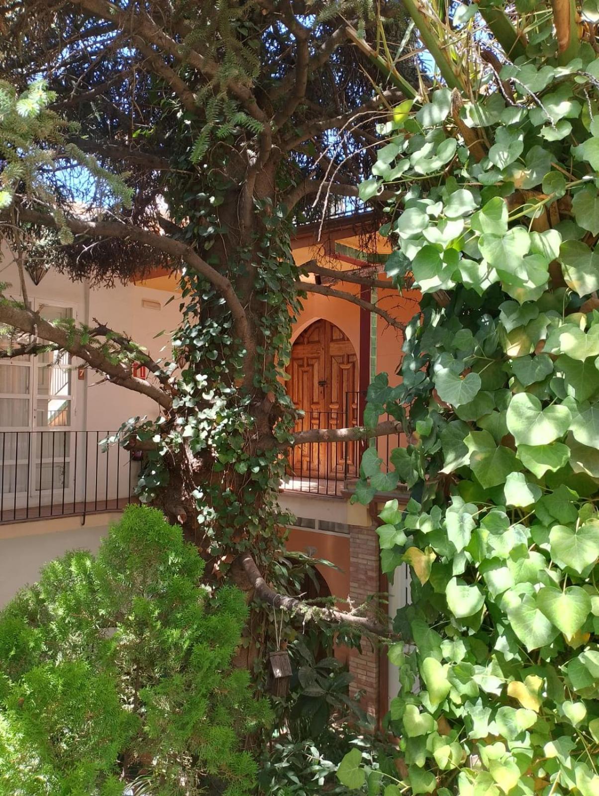Casa Rural Plaza De Santa Maria กาซอร์ลา ภายนอก รูปภาพ