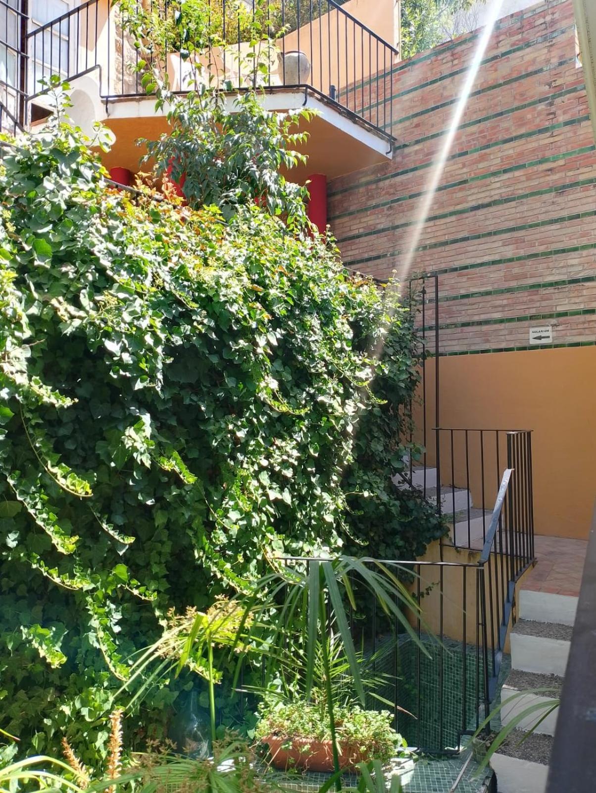 Casa Rural Plaza De Santa Maria กาซอร์ลา ภายนอก รูปภาพ